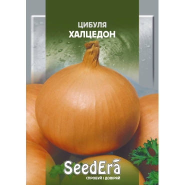 Цибуля Ріпчаста Халцедон