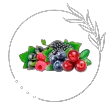Плодові